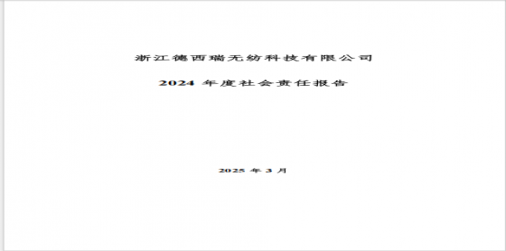 2024 年度社會責(zé)任報告